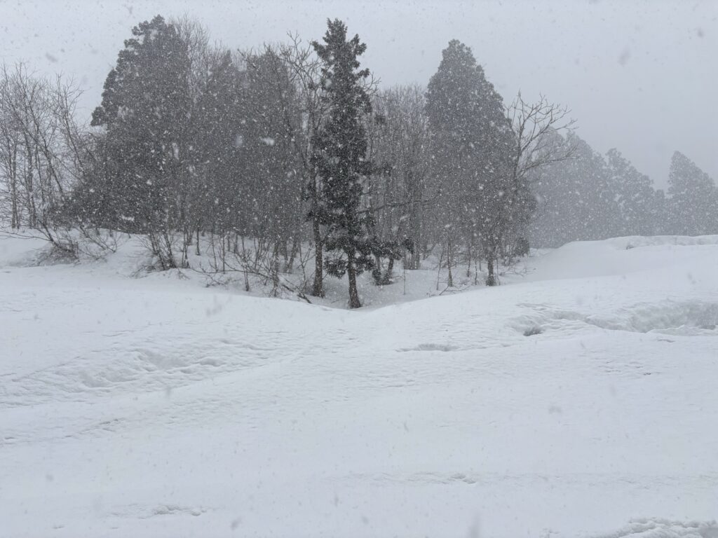 宇宙と繋がる豊かさのヒント♪ 一生お金に困らない人の秘密